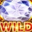 Wild Amazons Diamonds